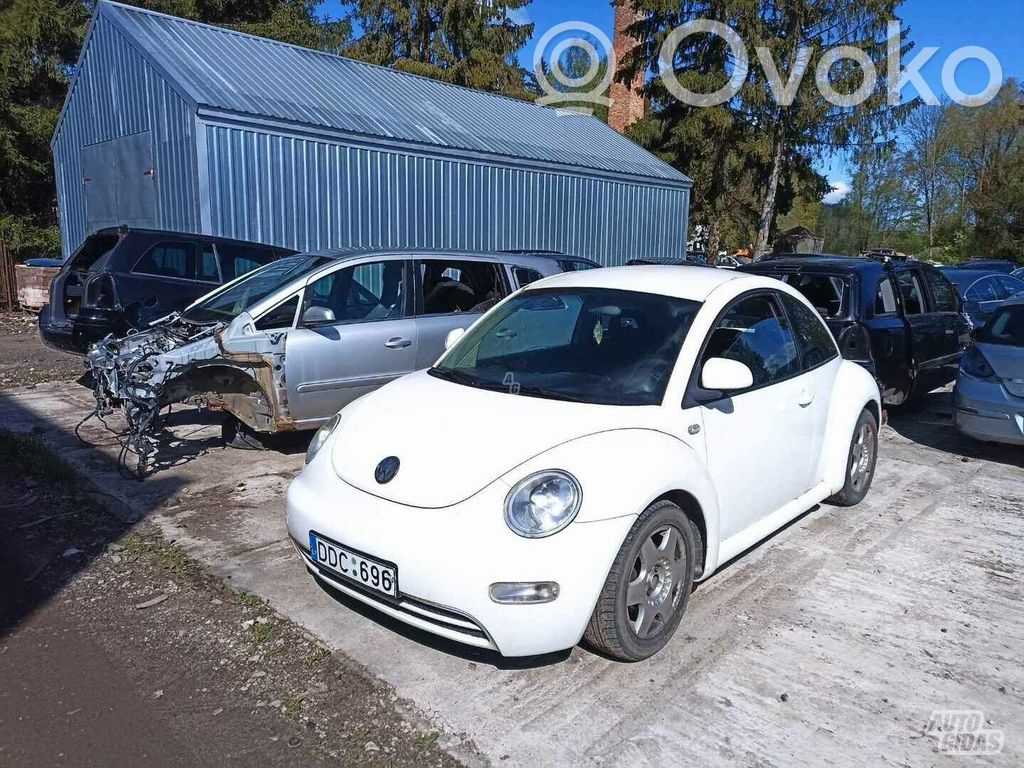 New Beetle Beetle  556268