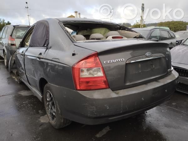 Cerato Cerato
