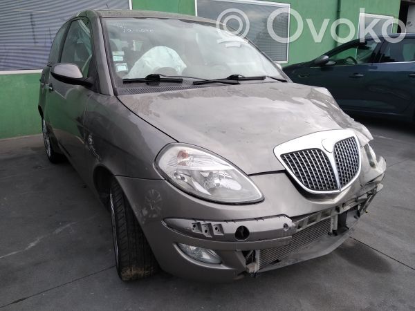 Ypsilon Ypsilon