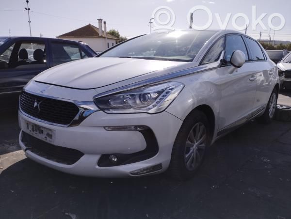 DS5 DS5