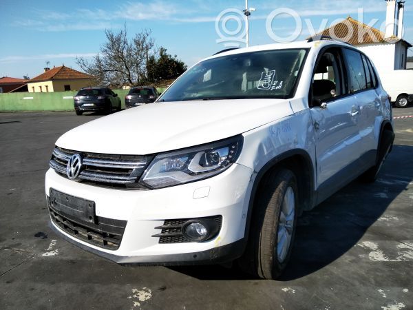 Tiguan Tiguan