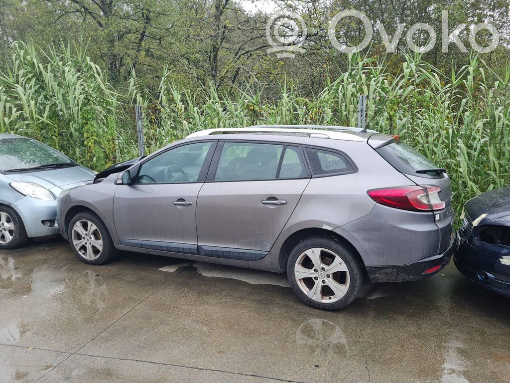 Megane III Megane  255670017R