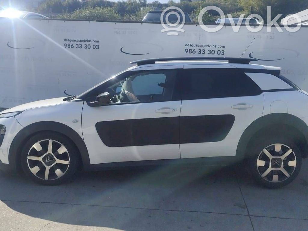 C4 Cactus C4 Picasso, Grand Picasso, Aircross, Cactus  9811545280