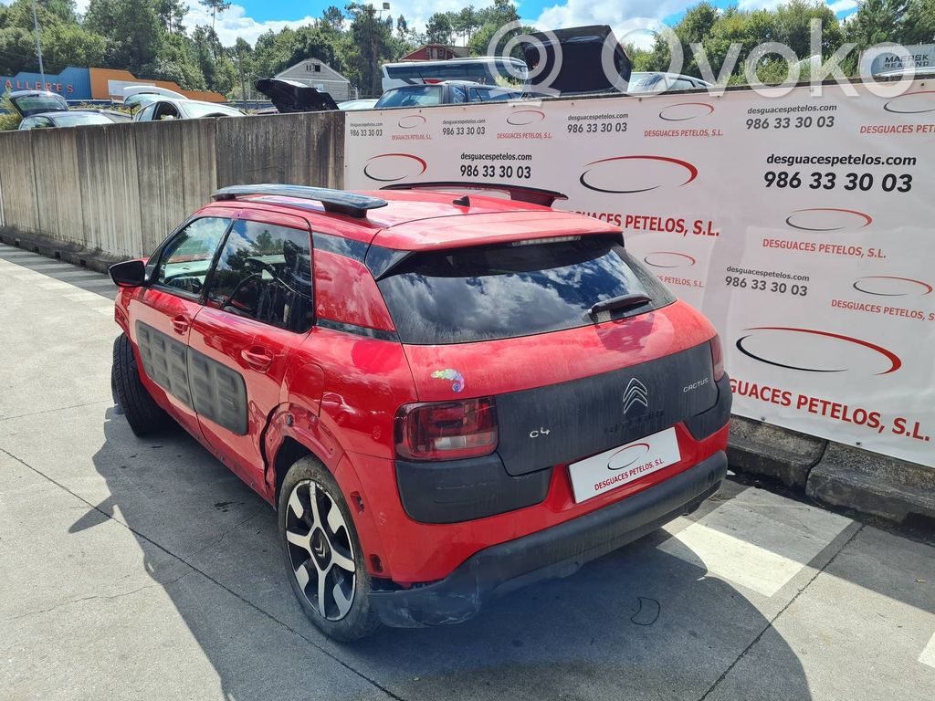 C4 Cactus C4 Picasso, Grand Picasso, Aircross, Cactus