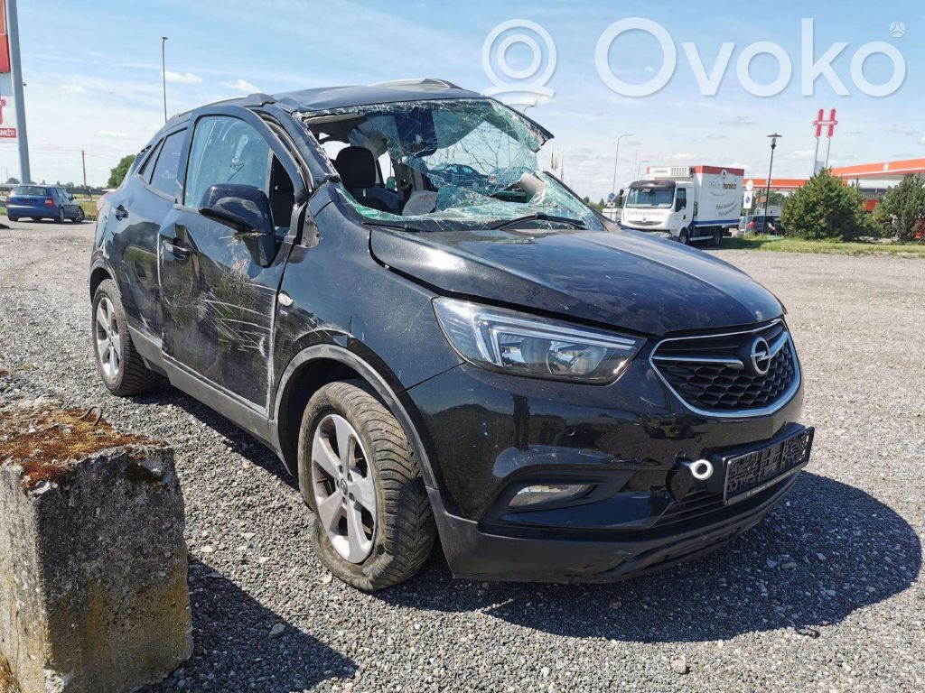 Mokka X Mokka  42469716