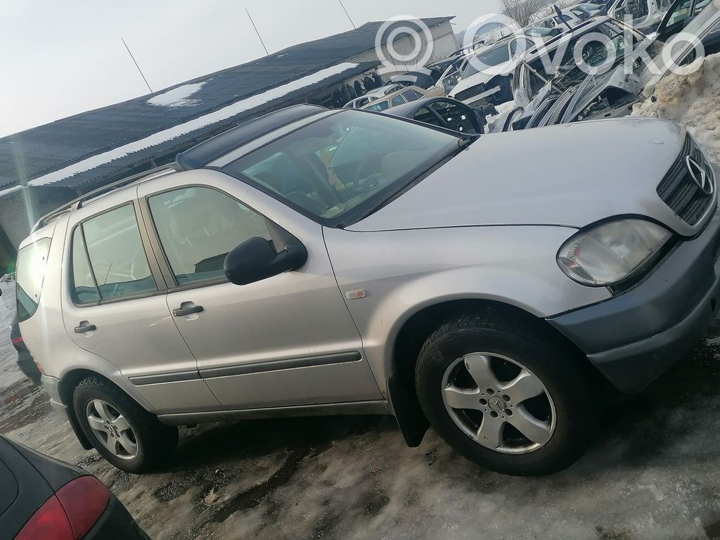 ML W163 ML-class, AMG (W163, W164, W166)  WOOD