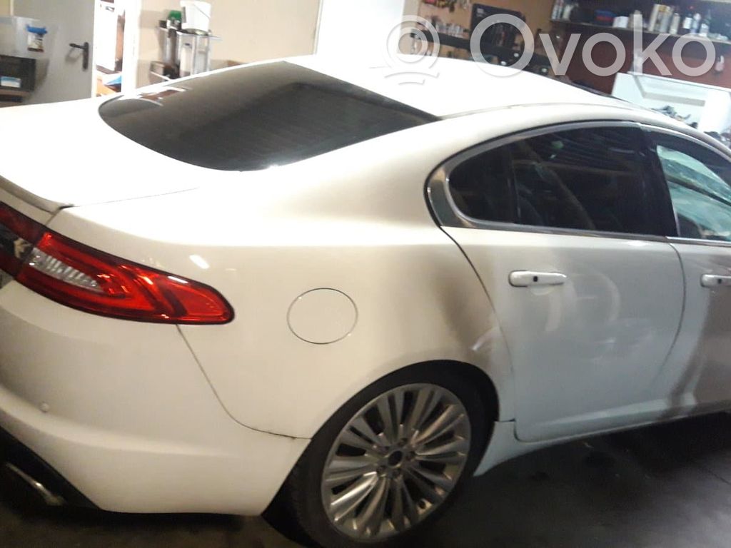 XF XF