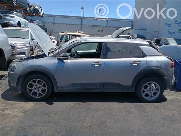 C4 Cactus C4 Picasso, Grand Picasso, Aircross, Cactus  1627122980