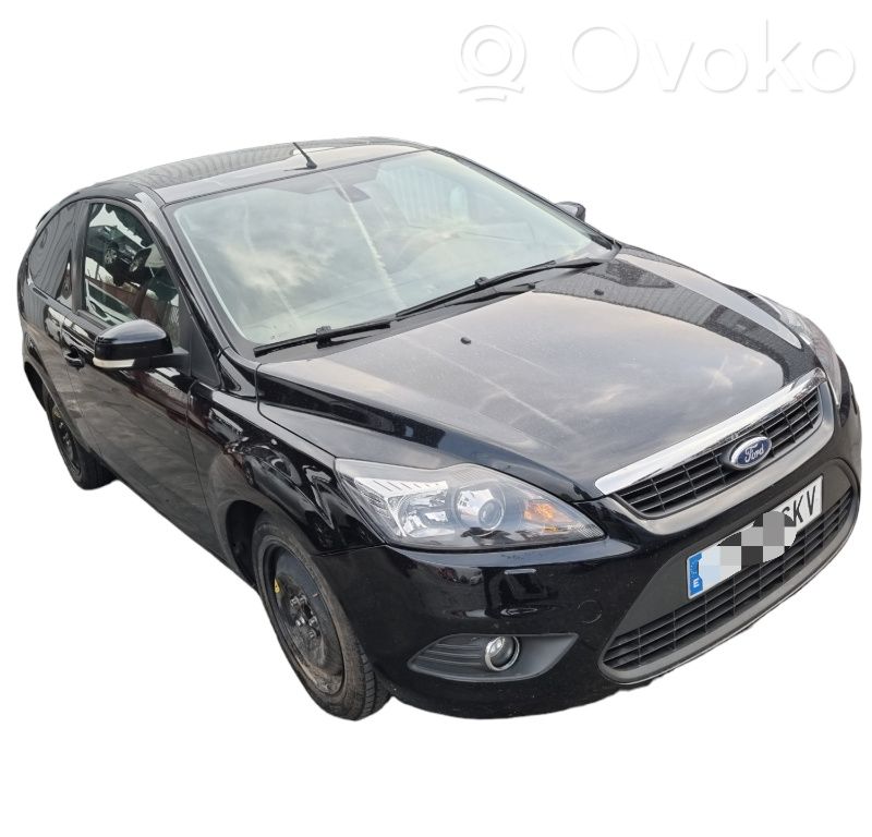 Focus Focus  334841