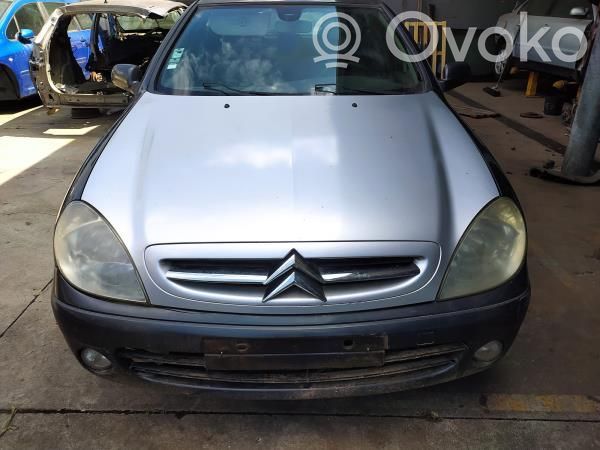 Xsara Xsara, Xsara Picasso