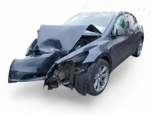 Model Y Tesla Model Y  118842100A