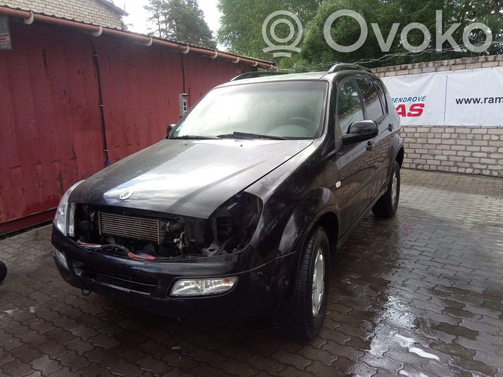Rexton Rexton