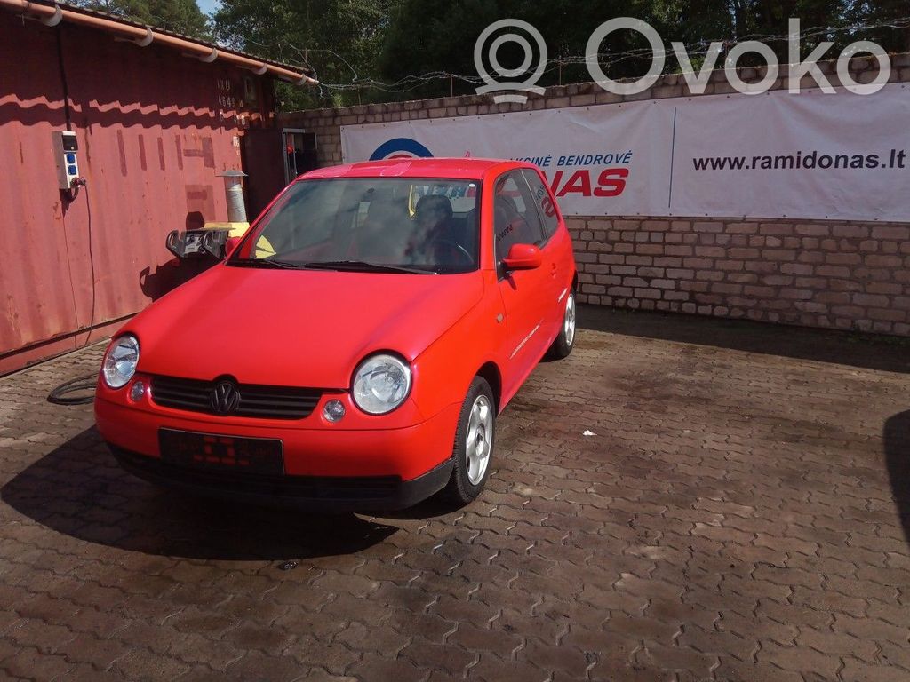 Lupo Lupo