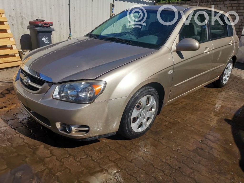 Cerato Cerato