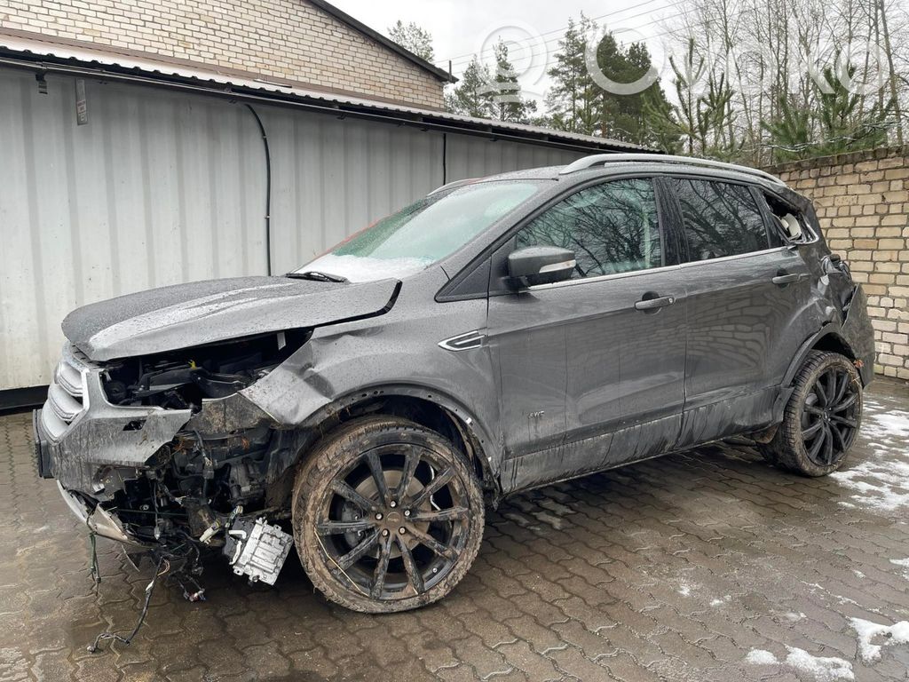 Kuga II Kuga