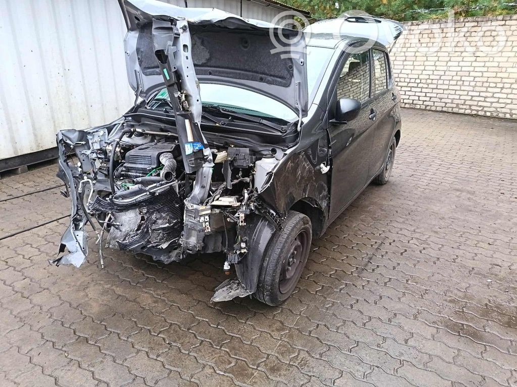 Celerio Celerio