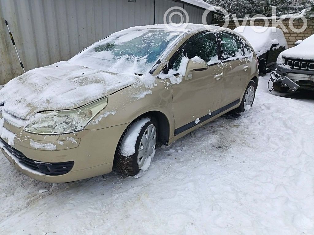 C4 I C4 Picasso, Grand Picasso, Aircross, Cactus  9663241380