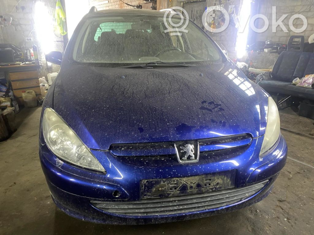 307 307  9648265580