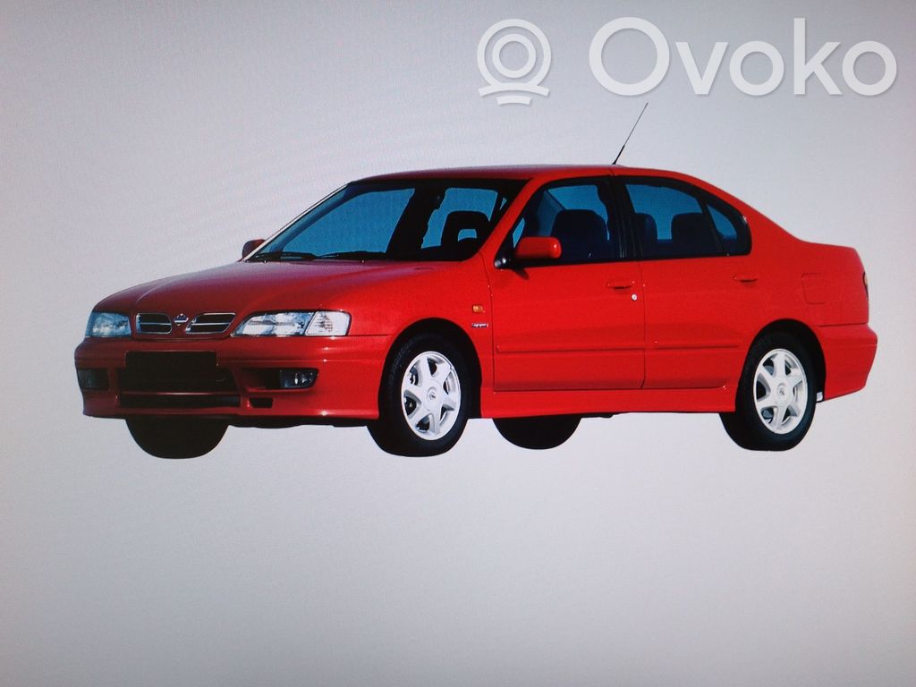 Primera Primera  231009F510