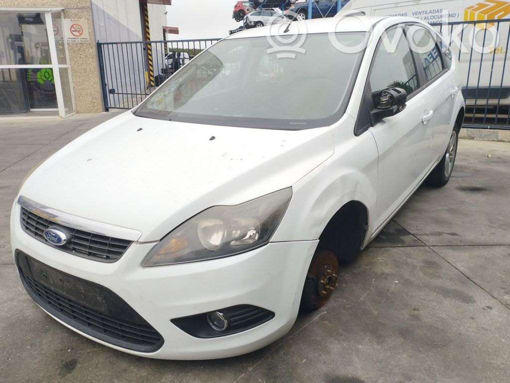 Focus Focus  MS1022118354
