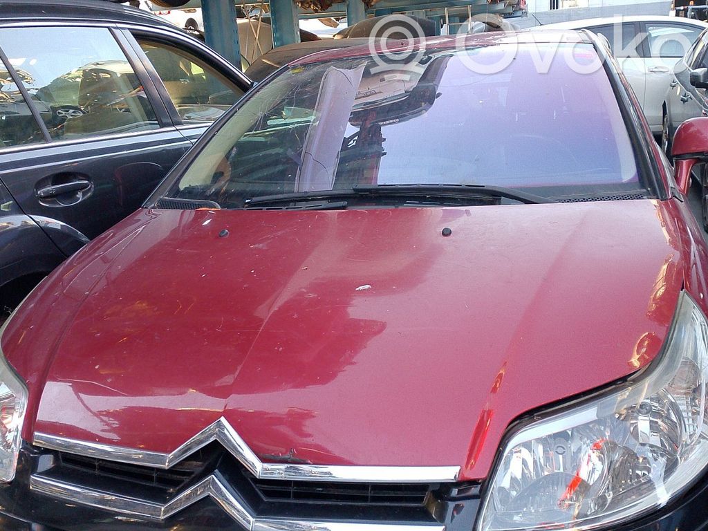 C4 I C4 Picasso, Grand Picasso, Aircross, Cactus  6351T6