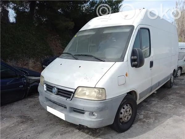 Ducato Ducato  1329236080