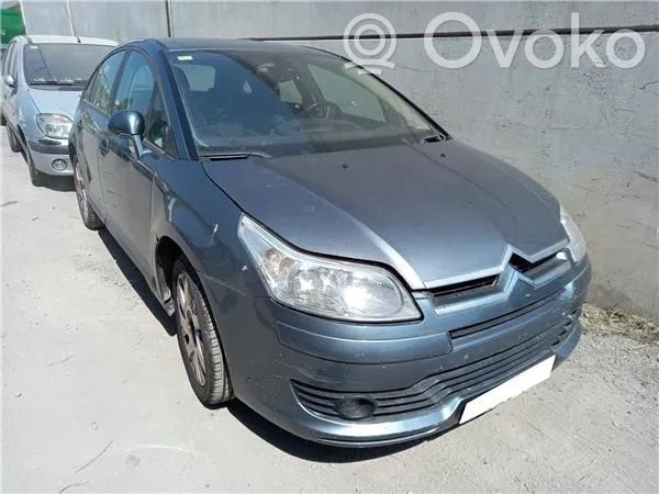 C4 Aircross C4 Picasso, Grand Picasso, Aircross, Cactus  597099