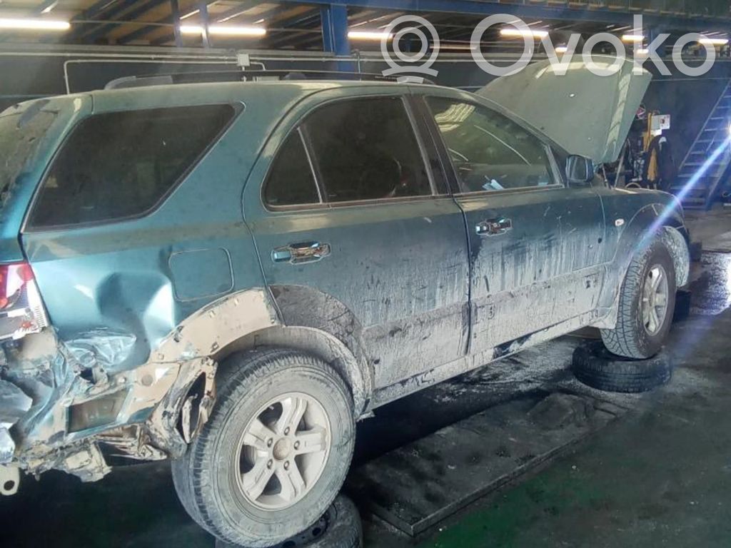 Sorento Sorento  491003E300