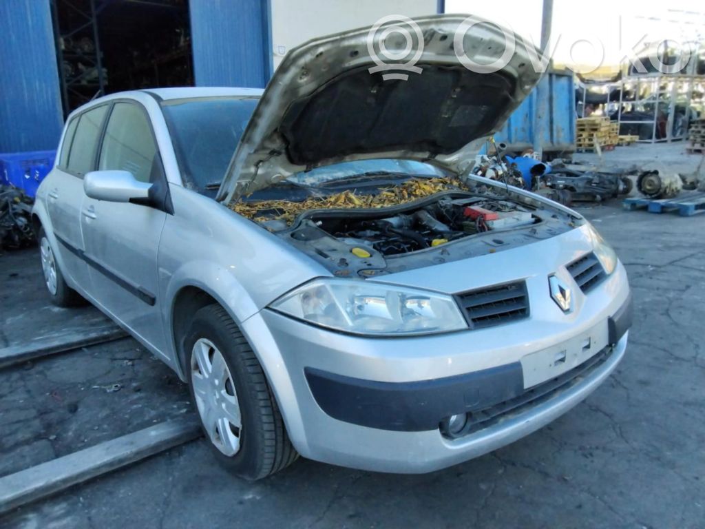 Megane II Megane  8200391966