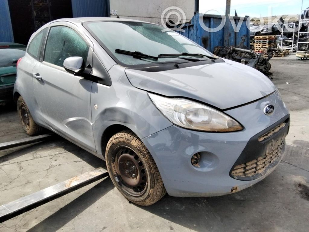 Ka Ka  1639568
