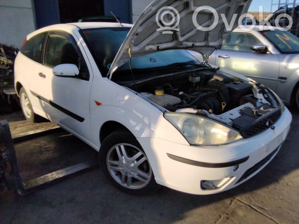 Focus Focus  E11015475