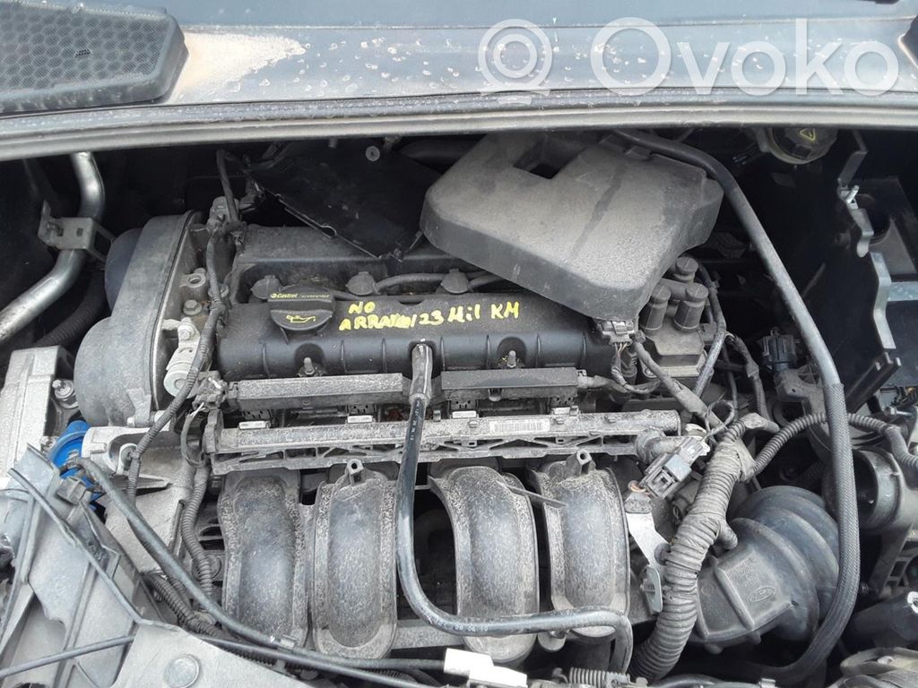 Focus Focus  BV612C246A