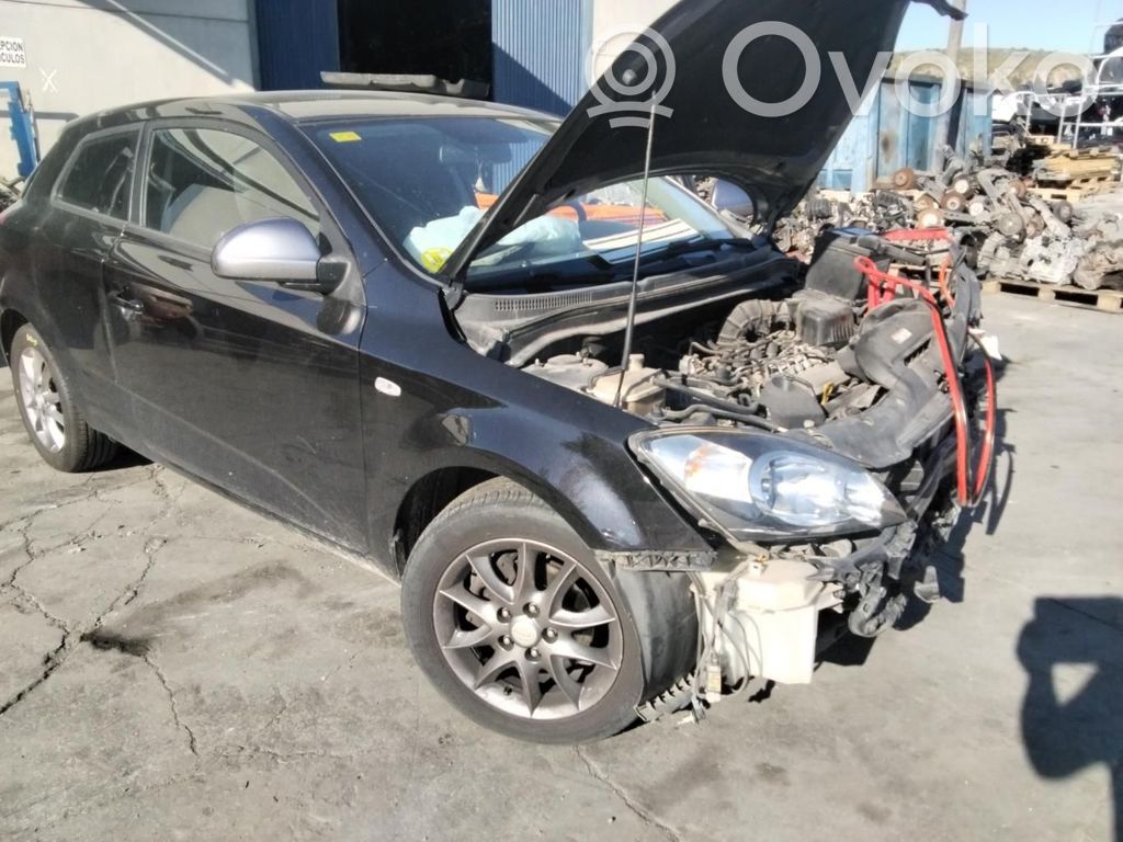 Ceed Ceed, Ceed SW, Pro Ceed  3916025000