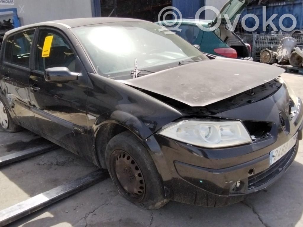 Megane II Megane  8200391966