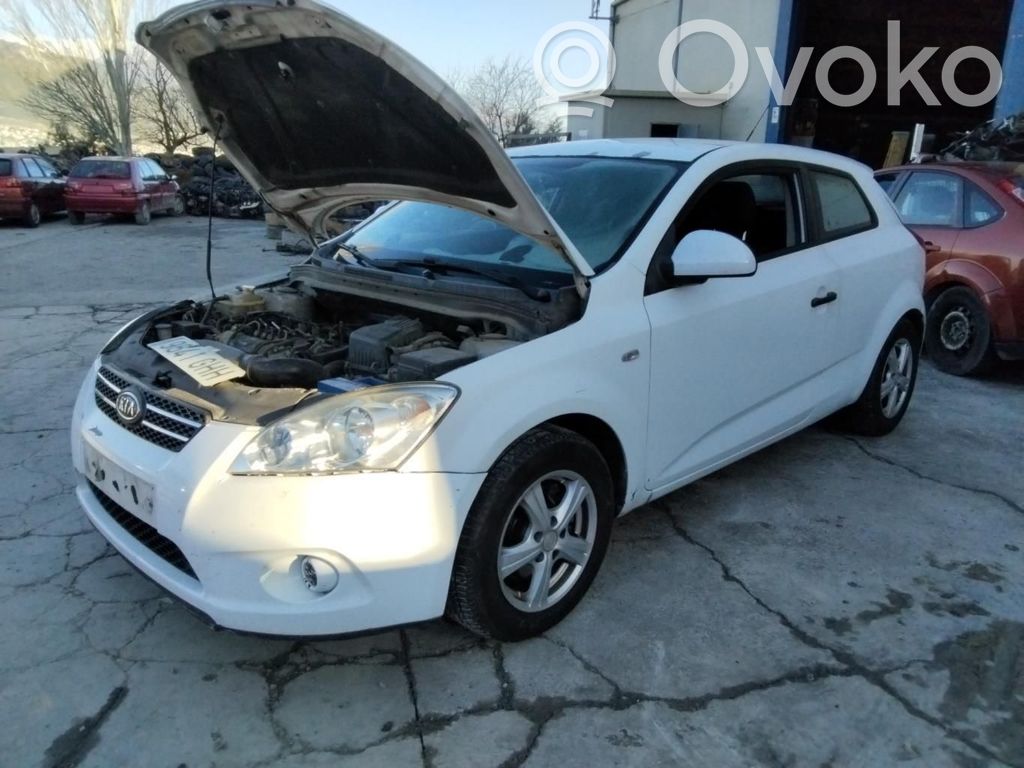 Ceed Ceed, Ceed SW, Pro Ceed  495001H210