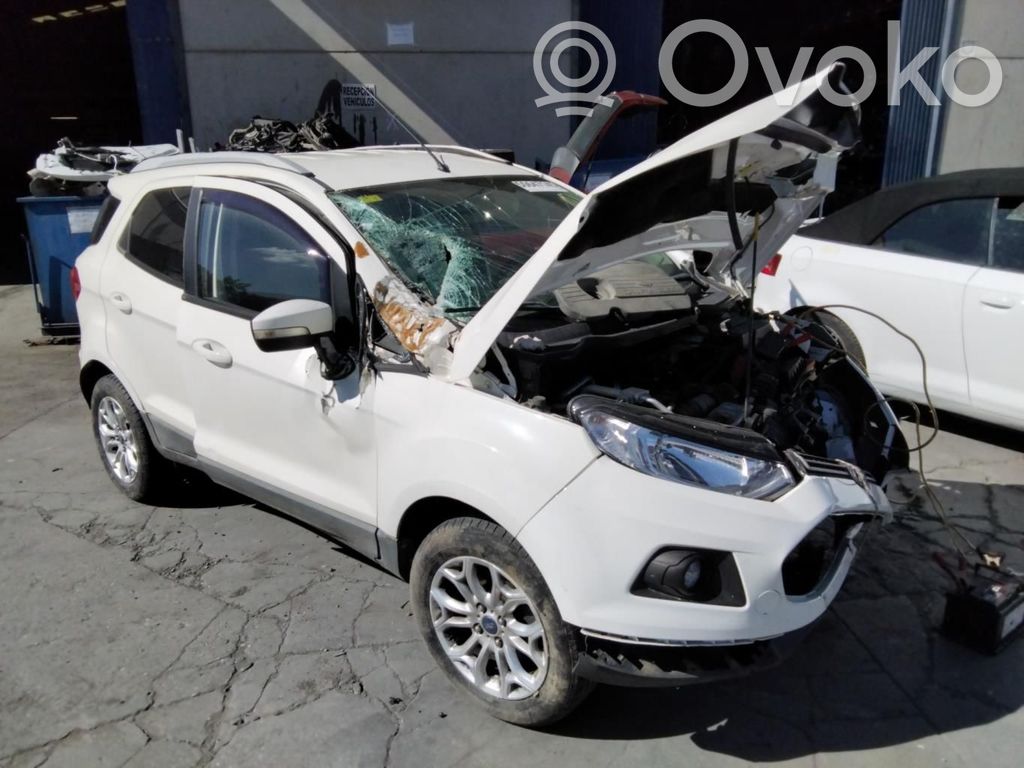 Ecosport Ecosport  54087016B