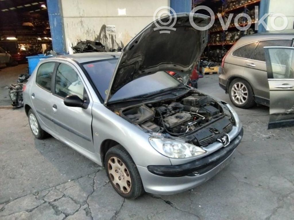206+ 206, 206+  9628666880