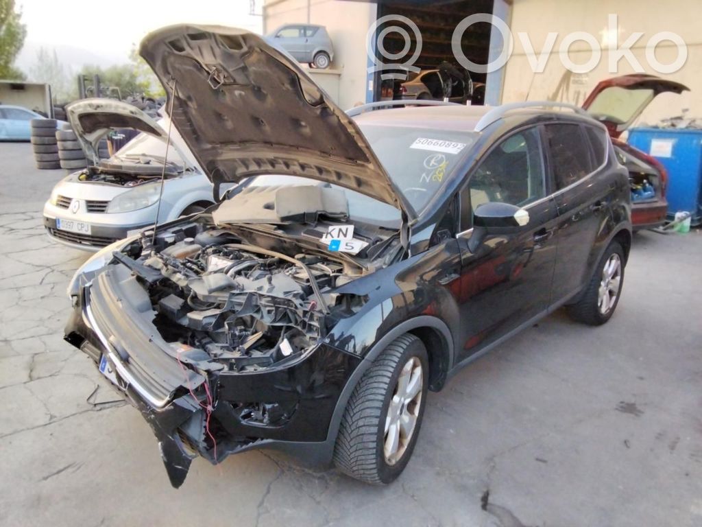 Kuga I Kuga  1712679