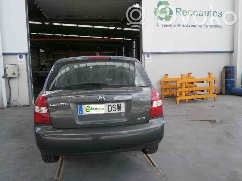 Cerato Cerato  803B52