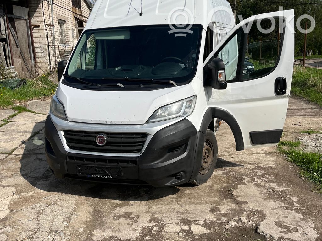 Ducato Ducato  2002199