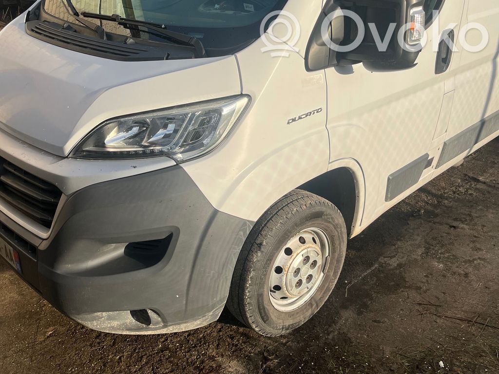 Ducato Ducato  B985