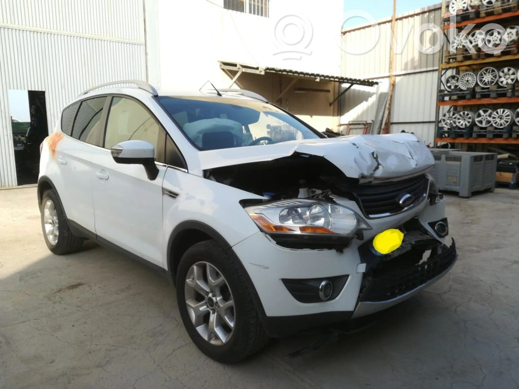Kuga I Kuga
