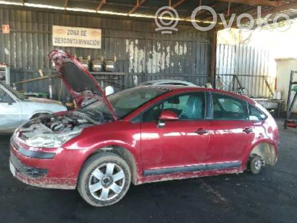 C4 I C4 Picasso, Grand Picasso, Aircross, Cactus  0265005291
