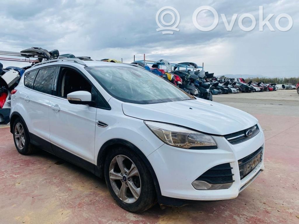 Kuga I Kuga