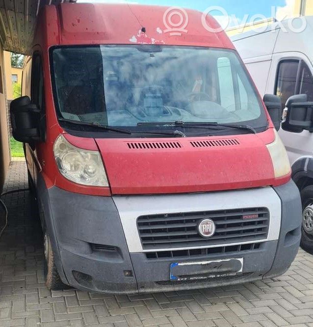 Ducato Ducato  504057813