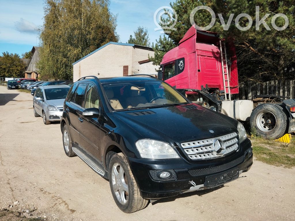 ML W164 ML-class, AMG (W163, W164, W166)  1737080602