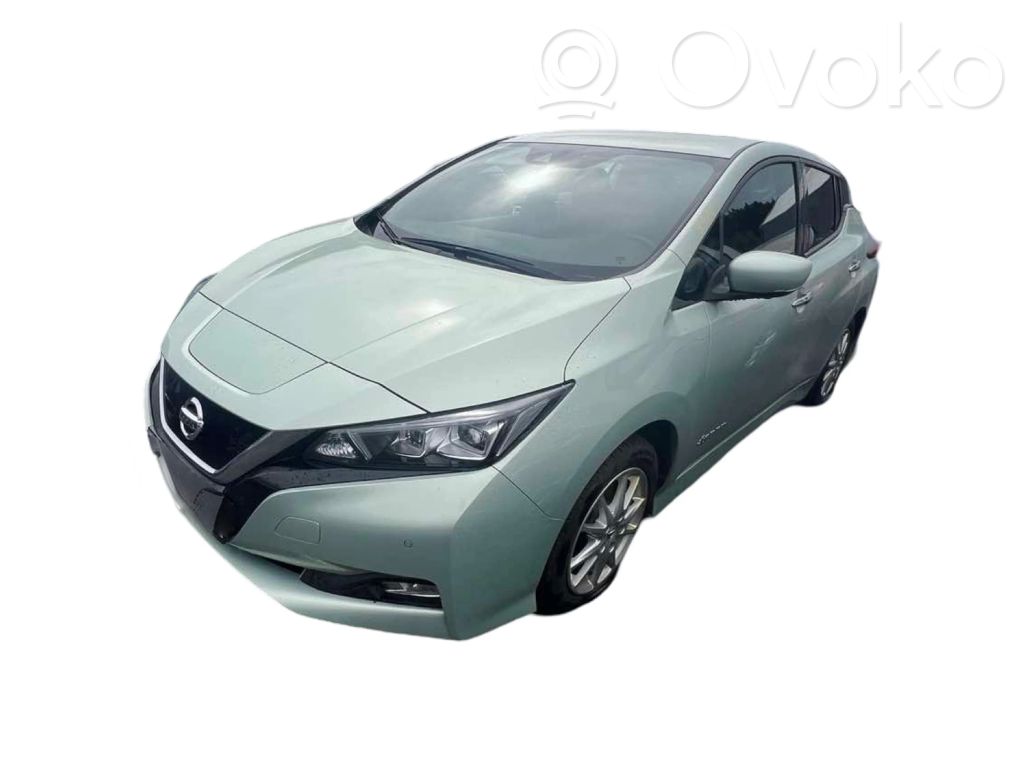 Leaf II (ZE1) Leaf  253203NA1B