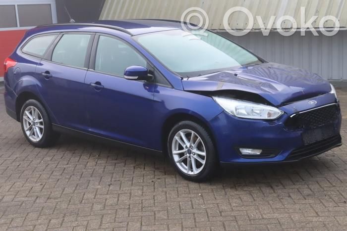 Focus Focus  AV615019BM