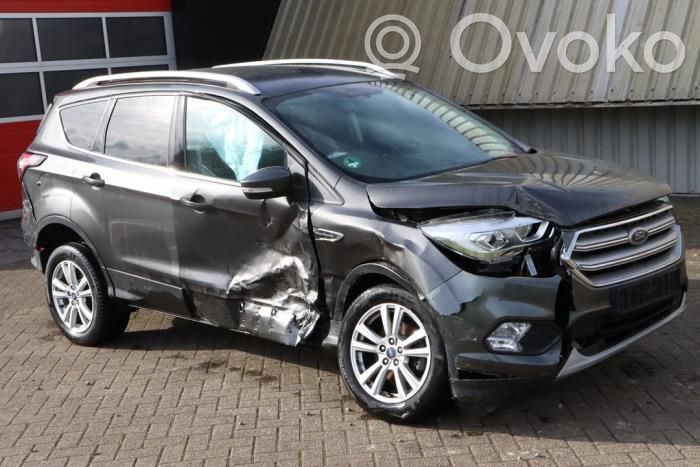Kuga II Kuga  2043391