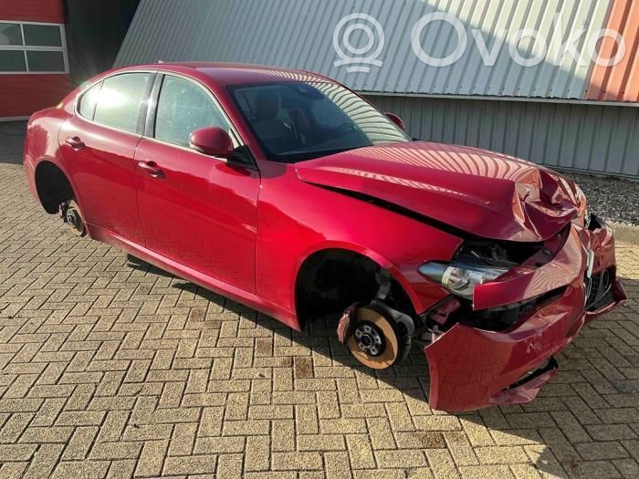 Giulia Giulia  50552623